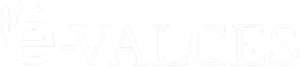 e‑VALCES - LEADER du pilotage stratégique des ressources soignantes.
